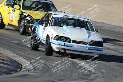 media/Oct-11-2025-Lucky Dog Racing (Sat) [[f5b53147c4]]/5-Fourth Stint/1-Turn 10/